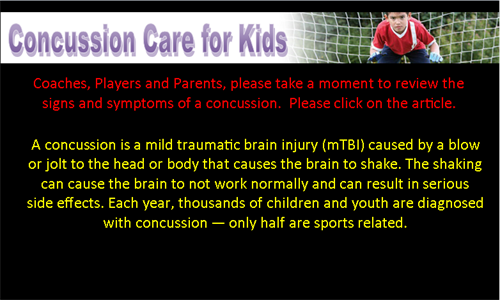 Concussion Information